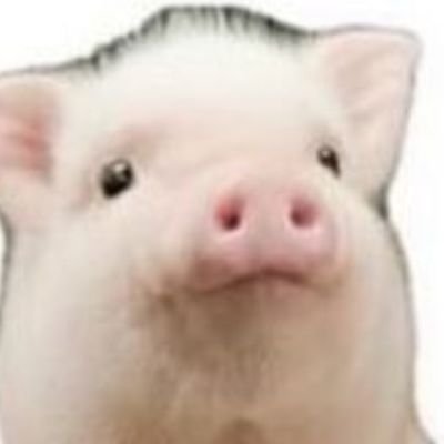 yuupachi1192's profile picture. (;´Д`)ﾁｭﾝﾁｭﾝ 楽しくやれるメンバー募集中‼️ ‼️‼️ ゴリラも募集しております(;´Д`)ﾊｧﾊｧ ‼️

よろしくお願いしますー(∩´∀｀＠)⊃