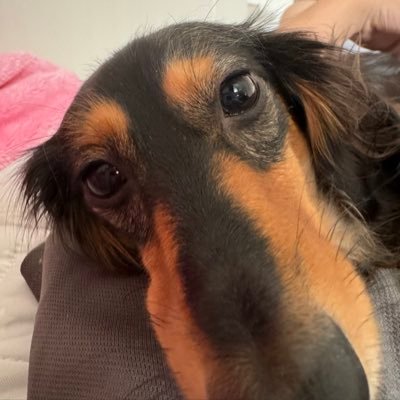 agm67661157's profile picture. 