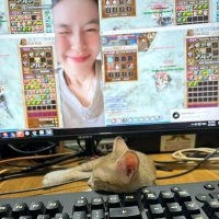 DoHi🐭 (@k8e19_gosensgo) 's Twitter Profile