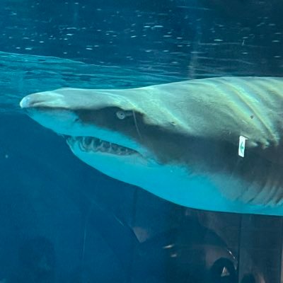 b7fVfLfRF31462's profile picture. 美術、絵、見るの好き。