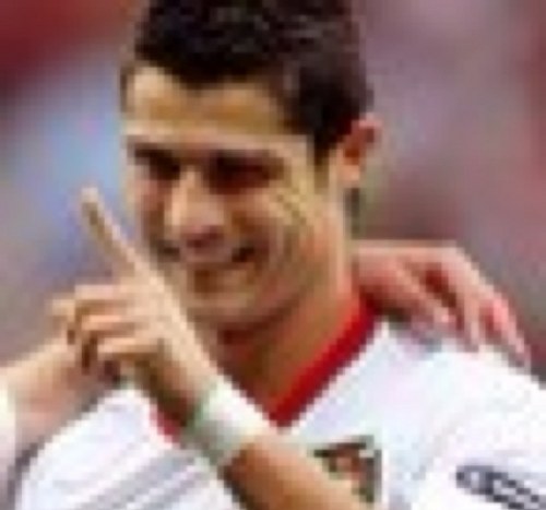 FlloffyRabeet's profile picture. 