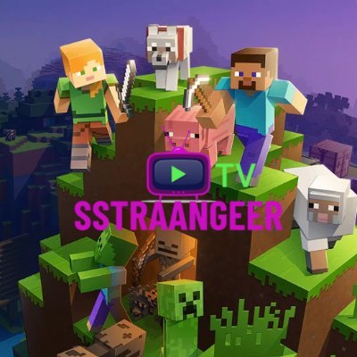tvsstraangeer's profile image