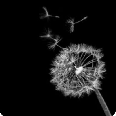 fragmentada78's profile picture. Mexicana, diciembre 1978