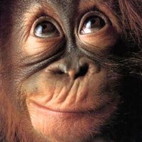 Charles Mullins🇺🇸 (@cemullins1) 's Twitter Profile