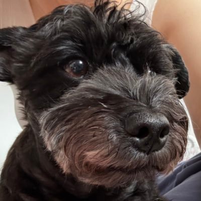 macydawang's profile picture. Thanks God.