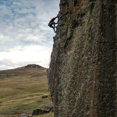 valsificacion's profile picture. bla bla bla