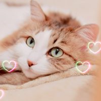 ユウ (@yu_bay99) Twitter profile photo