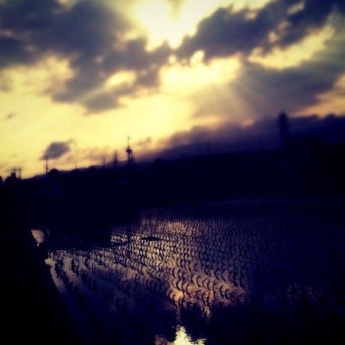 chocolate0058's profile picture. 日常と非日常。自己開放とコミュニケーション。
酔っ払いのメモ。