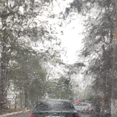 5d3c69ac600c413's profile picture. 