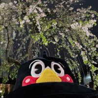 はまー (@popolon6) 's Twitter Profile