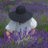 hsh8's profile image