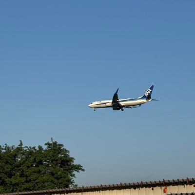 DtbUizc482d6WYX's profile picture. 