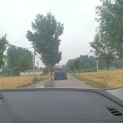 ly888351551's profile picture. 