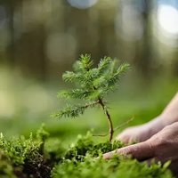 Evergreen Vibes (@evergreen_vibe) 's Twitter Profile Photo Evergreen Vibes (@evergreen_vibe) 's Twitter Profile Photo