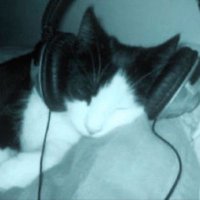 fern ( 11.4/47 lbs ) (@fernn_cals) 's Twitter Profile