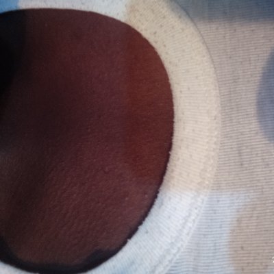 olsen53528209's profile picture. 