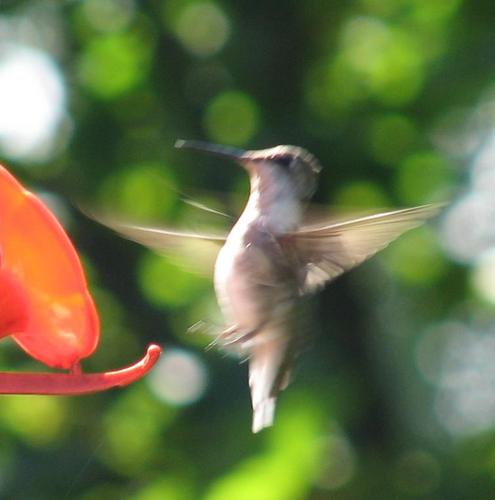 janharju's profile picture. 