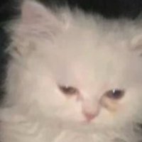 Josefina🪼 (@__jofi) 's Twitter Profile Photo Josefina🪼 (@__jofi) 's Twitter Profile Photo