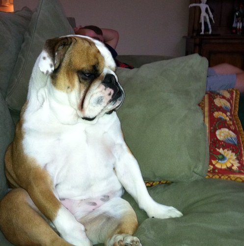 daletills's profile picture. 