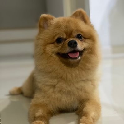 swxsomewhere's profile picture. 