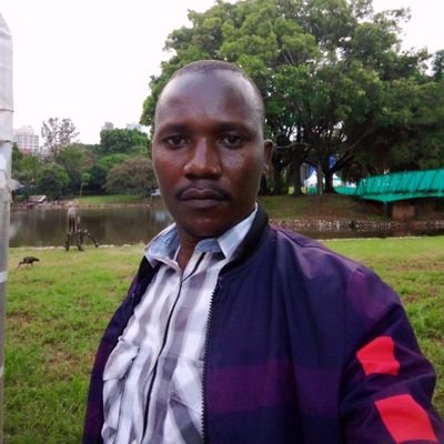 kisavi63577's profile picture.