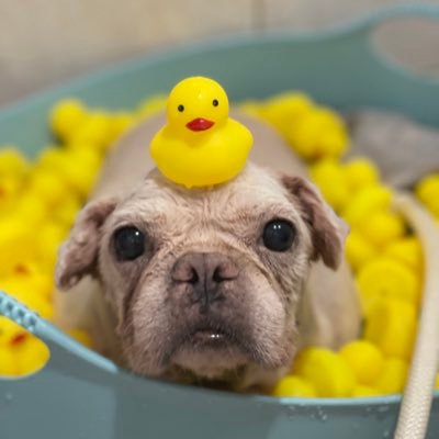 franksharon98's profile picture. 