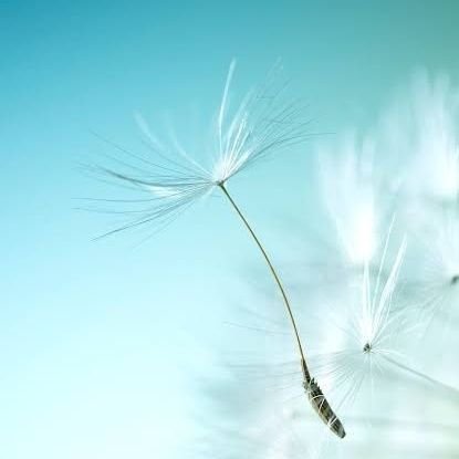 Berkee69's profile picture. 