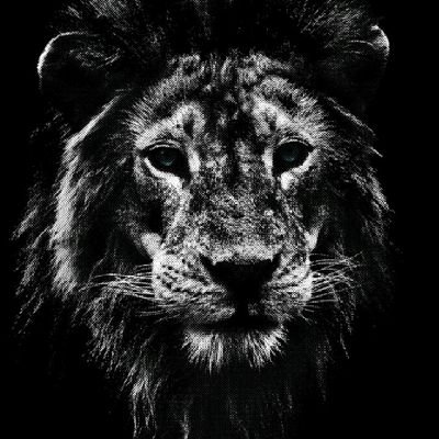 RICO_GUZU's profile picture. God Above All 
Ethical Hacker | Red Team | SOC