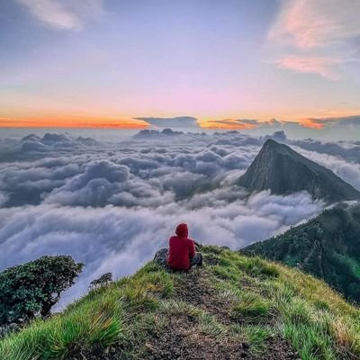 Pa_chhu's profile picture. 