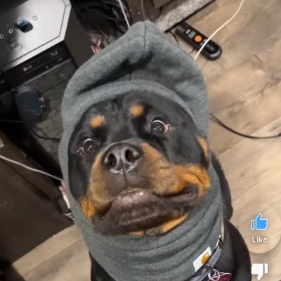 Ty2Sly's profile picture. non claw no paddle washed as fuck west clip player