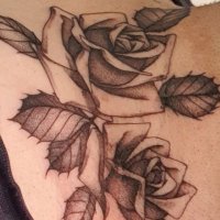 jbcool44 (@jbcool44) 's Twitter Profile