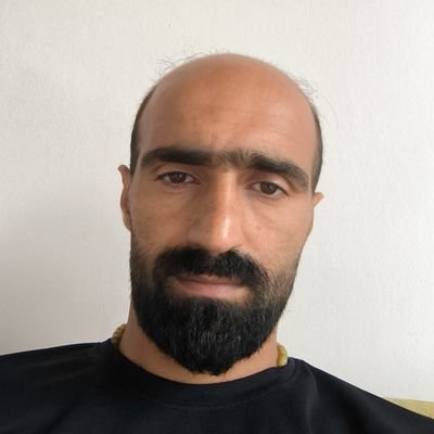 mojtaba65162720's profile picture. 