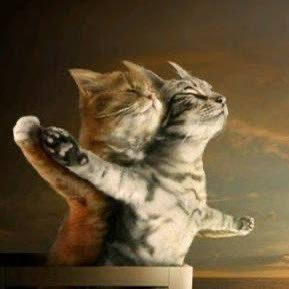 abdullahapak's profile picture. Sözümüz var asla namerde şerefsize karşı bizde ne eğilecek baş ne de boyun var bizim tek eğileceğimiz yer Rabbimin huzurunda namazda olur #NEAR