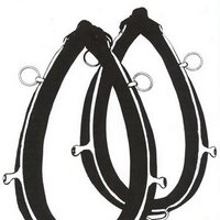 Attelage &Traditions (@awatasbl) 's Twitter Profile