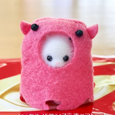 びっきぃさんのプロフィール画像