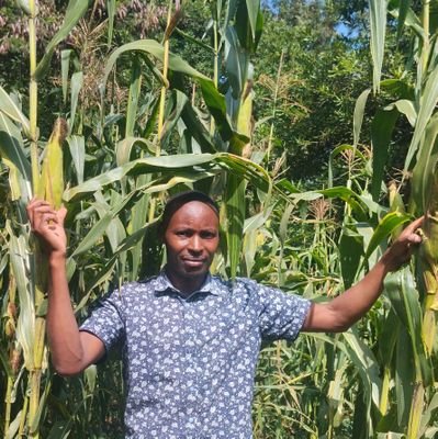 Nicky_Gikundi's profile picture. Let's have fun