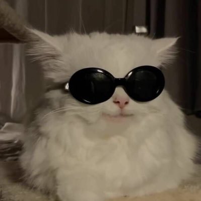 R0seismine's profile picture. Heya! R0se here - Im a lil smol Gw account! My proofs are up in #R0seproofs ! I don’t do much gws but I hope you can enjoy being here 🤍🖤