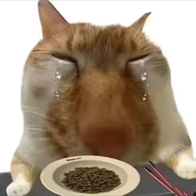 qijian3364's profile picture. 我是七涧！Ⅰ中文🇨🇳Ⅰ翻译器
想到啥画啥
感谢泥的关注！！❤️❤️😘😘