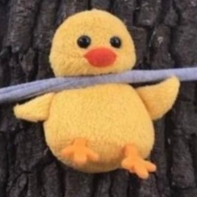 waaaaaa101010's profile picture. 