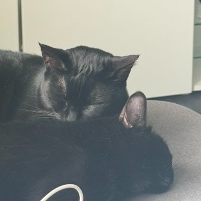 sly_fantastic's profile picture. 30 ; she/they ; french ; multifandom