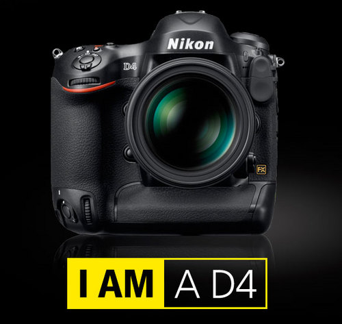 Find the latest information and pricing on the Nikon D4 camera. And discover valuable coupons to save on your next Nikon D4 camera or lens purchase.