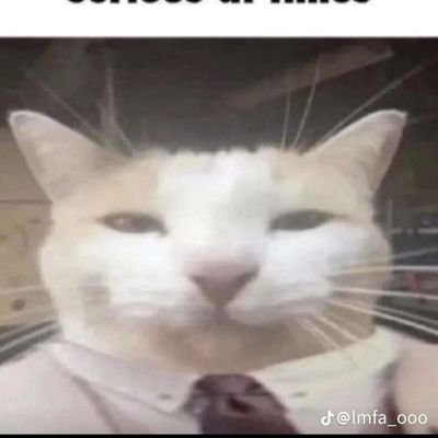 Gamer_Lover69's profile picture. I love everyone and everything