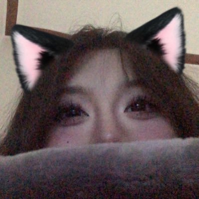 dylannguyen666's profile picture. 