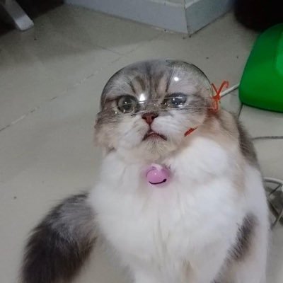 aingaing_888's profile picture. 