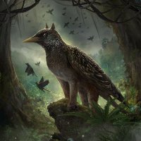 Vale Nagle (@kvalenagle) 's Twitter Profile