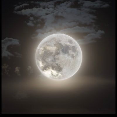 JohnNolan239366's profile picture. 