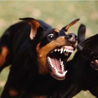 usr_nm (@usrnm_tk) 's Twitter Profile