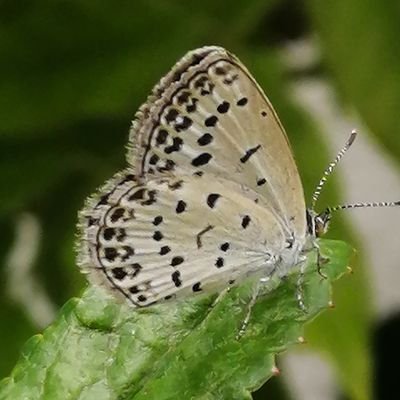 shima_teine's profile picture. ツィッターの使い方がよくわかっていません。
失礼な事があればお許し下さい。掲載している写真は全てスマホで撮ったものです。
誕生日：１２月7日