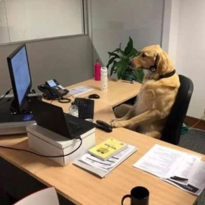 sailor_620's profile picture. Se o Comunismo acabar, quem é que vai levar a culpa?