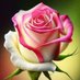 المستشار حسن المطيري (@x0zj653r2f7ryvk) Twitter profile photo المستشار حسن المطيري (@x0zj653r2f7ryvk) Twitter profile photo